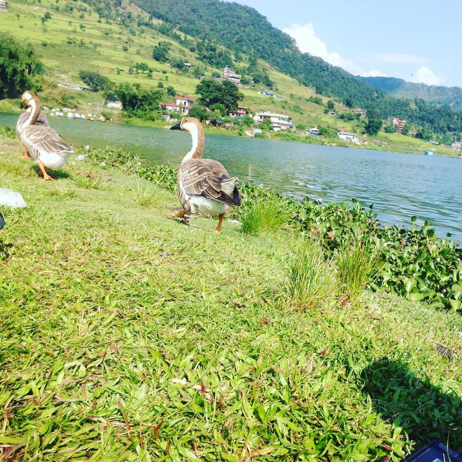 Sweet Dreams Hotel Pokhara Exterior foto